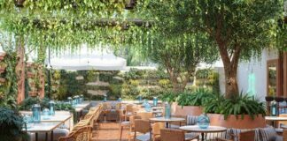 From Dispensary to Dinner Plates: Launching California’s First Marijuana Restaurant California’s First Marijuana Restaurant